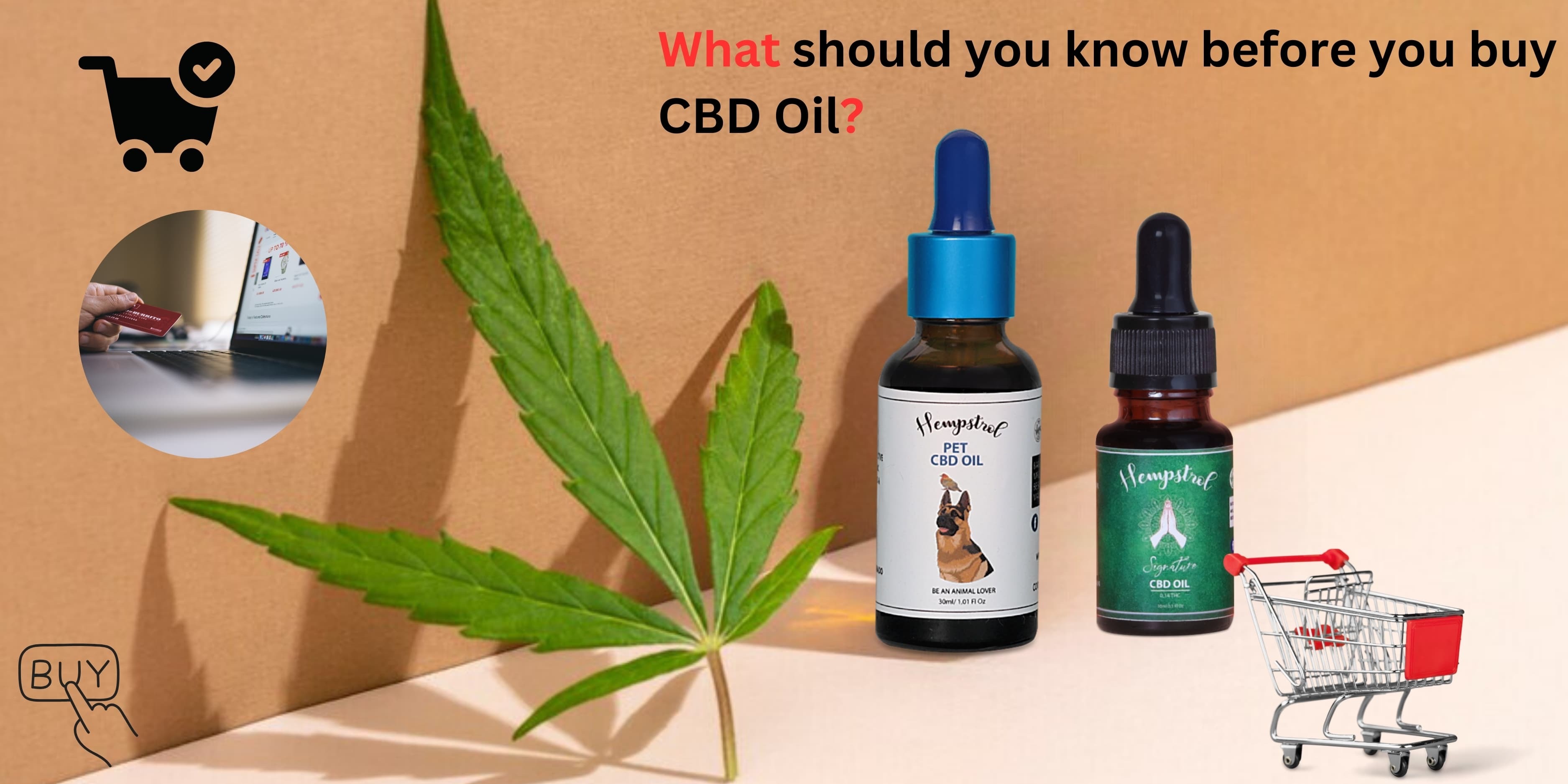 cbd oil India online